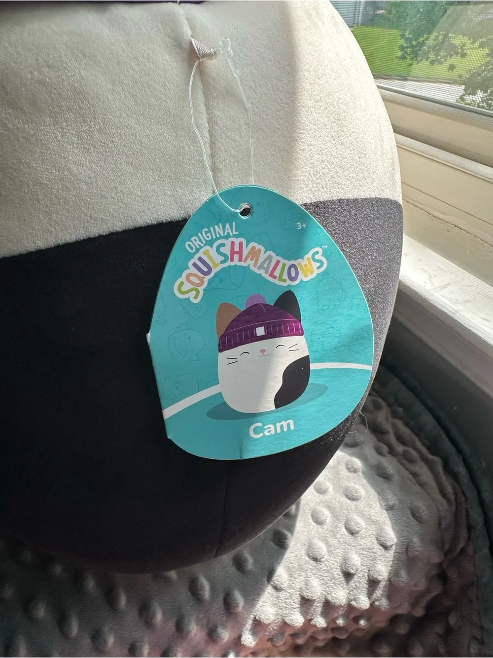 Squishmallows Calico Cat Plush with Purple Hat